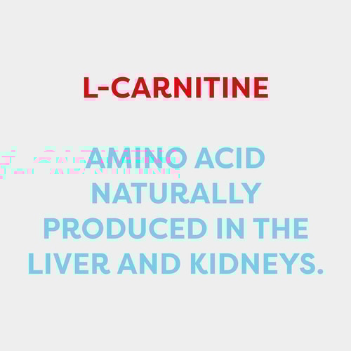 L-Carnitine 1500 mg 120caps (7)