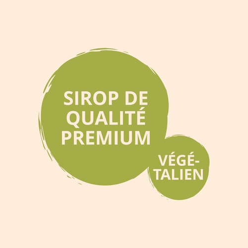Sirop de Fleur de Coco 300 g (6)