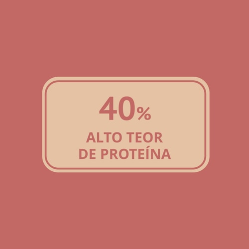 Farinha de Tremoço 250 g (6)