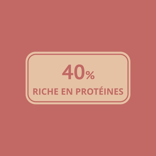 Farine de lupin 250 g (6)