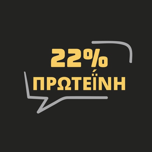 Βάφλες Υψηλής Πρωτεΐνης (6 τεμάχια) - Αυθεντικές (4)
