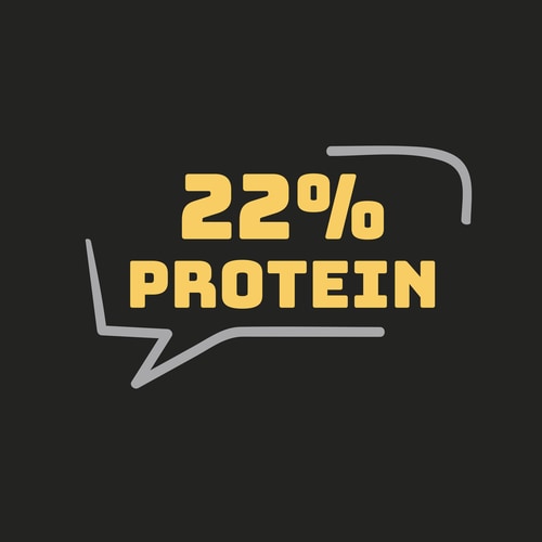 Protein-Waffeln (6 Stück) - Original (4)