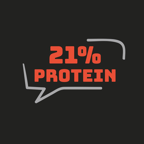 Protein-Waffeln (6 Stück) - Schokolade (4)