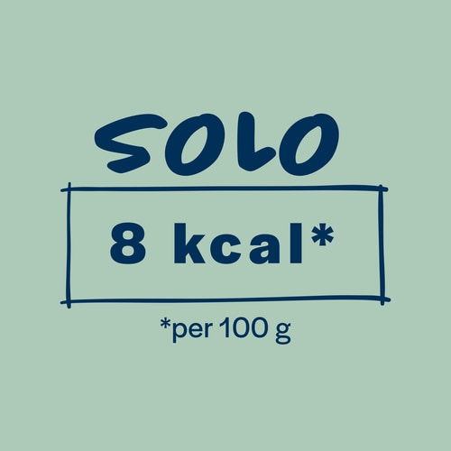 Noodles di konjac 270 g (6)