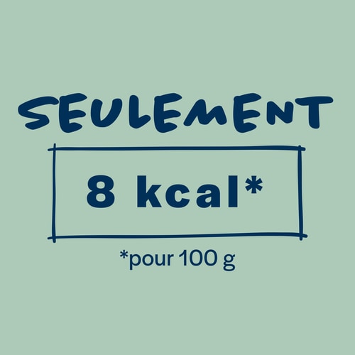 Nouilles de Konjac 270 g (6)