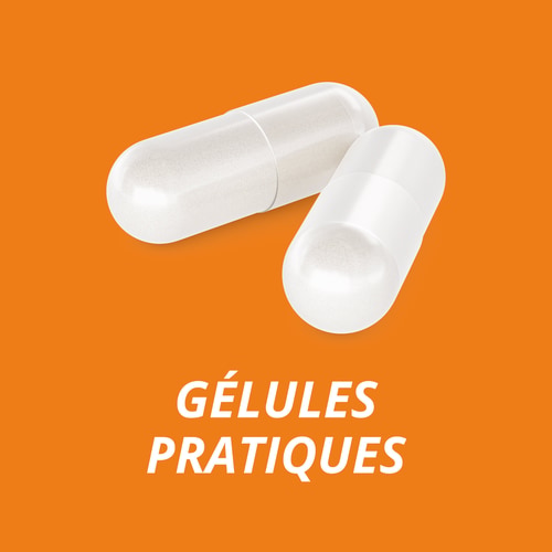 Multi-Probiotique 25 Milliards 30 doses (2)