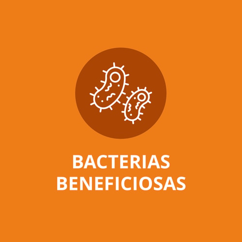 Multiprobiótico 25 Billones - 30 dosis (4)