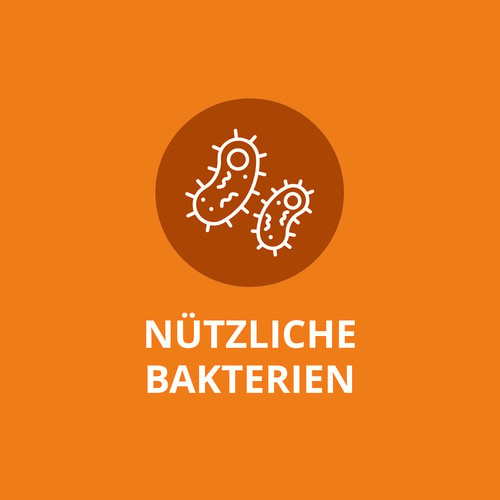 Multi-Probiotikum 25 Milliarden 30 Portionen (4)