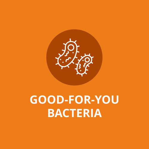 Multi Probiotic 25 Billion 30 Servings (4)
