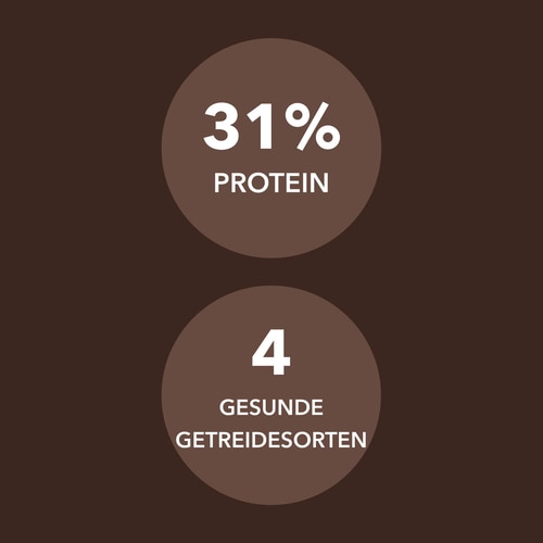 Protein-Müsli 400 g Schokolade (6)