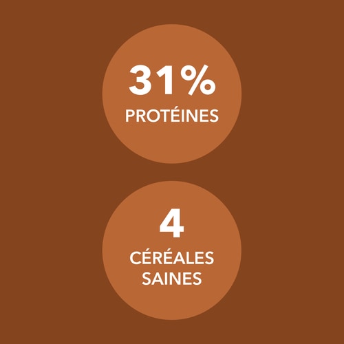 Protein Muesli 400 g Chocolat-Caramel (6)
