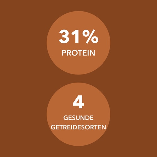 Protein-Müsli 400 g Schoko-Karamell (6)