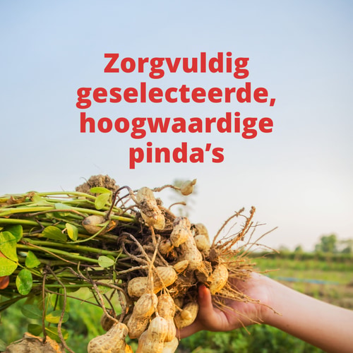 Pindakaaspoeder 400 g (4)