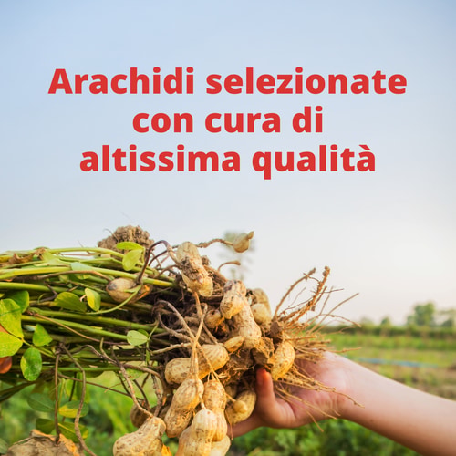 Crema di Arachidi in Polvere 400 g (4)