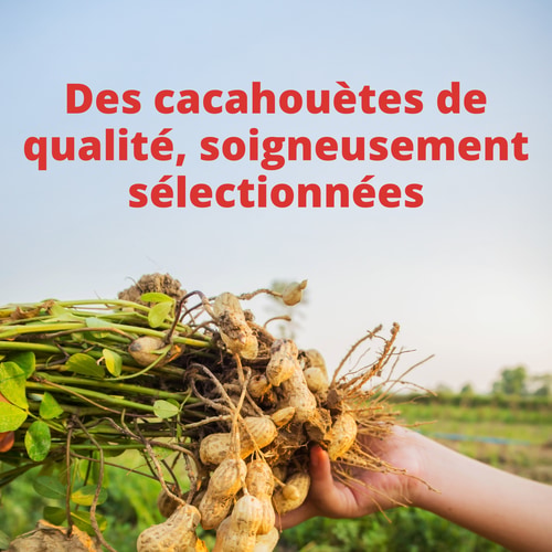 Beurre de Cacahouète en Poudre 400 g (4)
