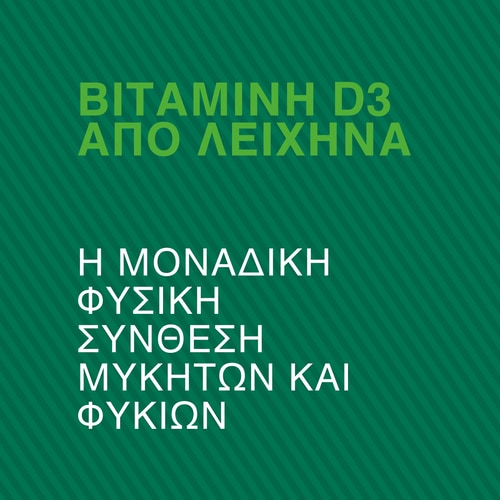 Βιταμίνη D3 Vegan 60 φυτικές κάψουλες (9)