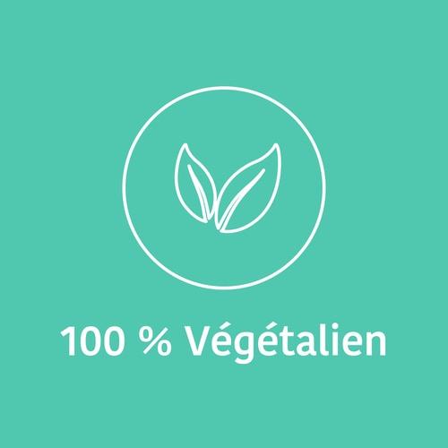 ZMA - Zinc, Magnesium and Vitamin B6 60 veg caps (9)