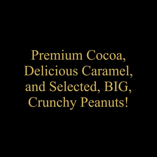 Billion Protein Peanut Bar x 9 (8)