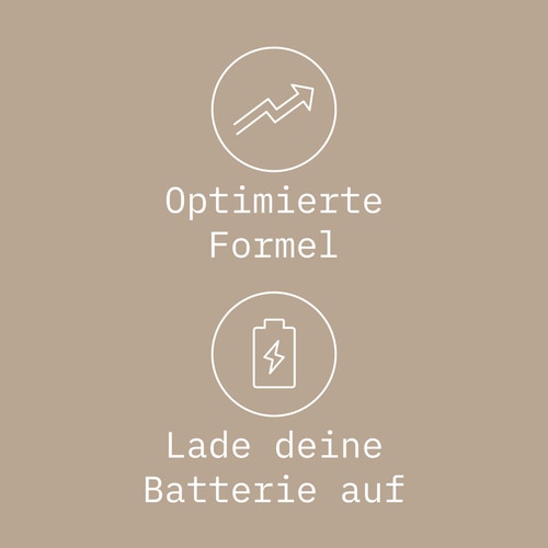 Energy Crunch Bar x 12 (4)