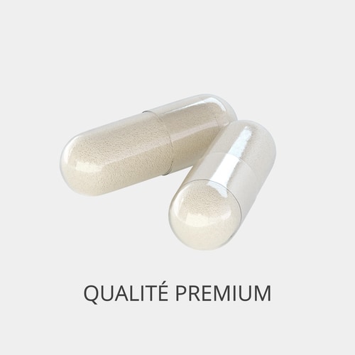 Iodure de Potassium - 150 mcg Iode 60 gélules (2)