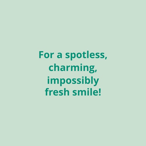 Organic Toothpaste 75 mL (8)