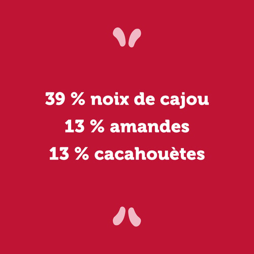 Nutzer Bar - Noix de Cajou et Framboise x 10 (3)