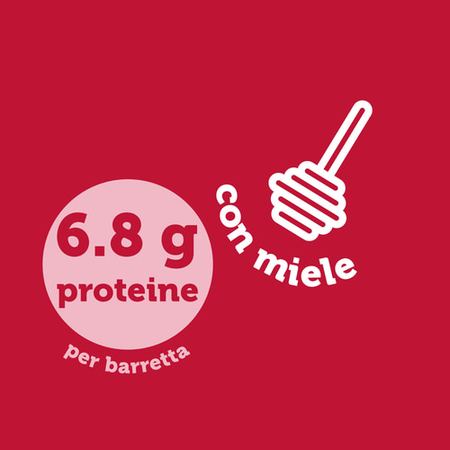 Nutzer Bar - Anacardi e lampone x 10 (6)