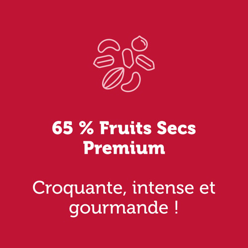 Nutzer Bar - Noix de Cajou et Framboise x 10 (8)
