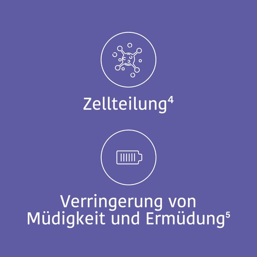 ZMB mit Albion® Magnesiumbisglycinat 60 vegetarische Kapseln (10)