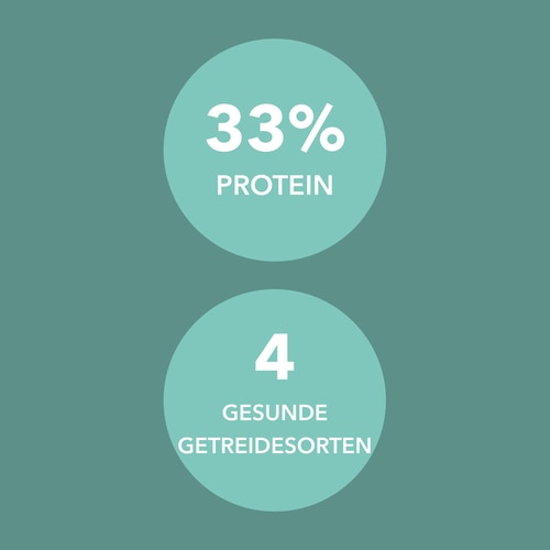 Protein Muesli 400 g Schokolade und Kokosnuss (6)