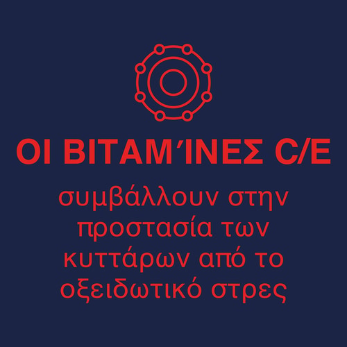H2O Anti-OX - 8 μπαστούνια (8)