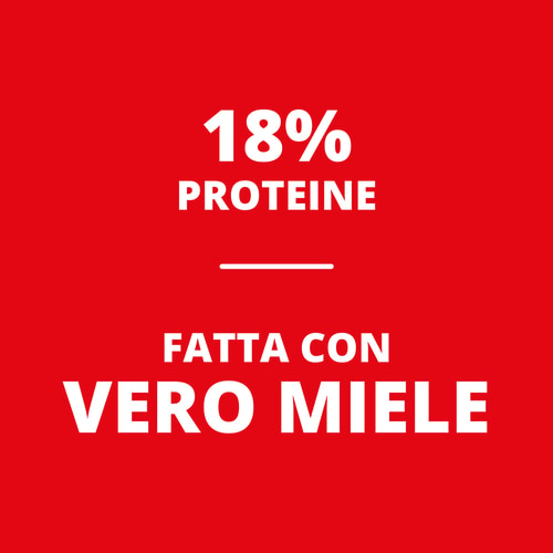 Peanut Choco Bar - Cioccolato al Latte x 10 (6)