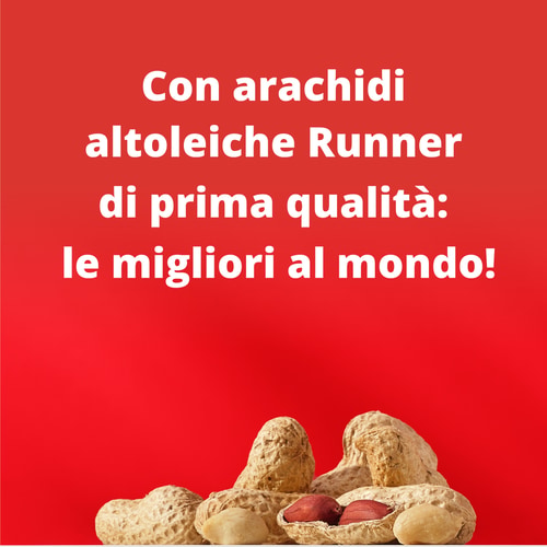 Peanut Choco Bar - Cioccolato al Latte x 10 (9)
