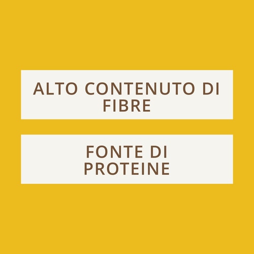Choco Peanuts - Barretta di arachidi e cioccolato al latte x 10 (4)