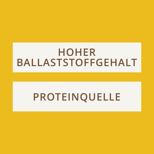 Choco Peanuts - Erdnuss- und Milchschokoladenriegel x 10 (4)