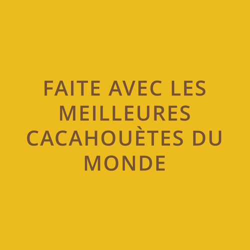 Choco Peanuts - Barre aux Cacahouètes et Chocolat au Lait x 10 (9)