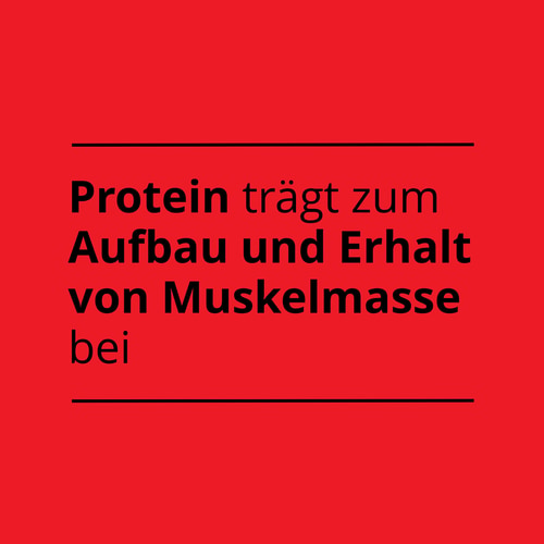 Instant-Protein-Pfannkuchen 400 g (9)