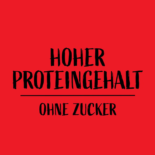 Instant-Protein-Pfannkuchen 400 g (4)