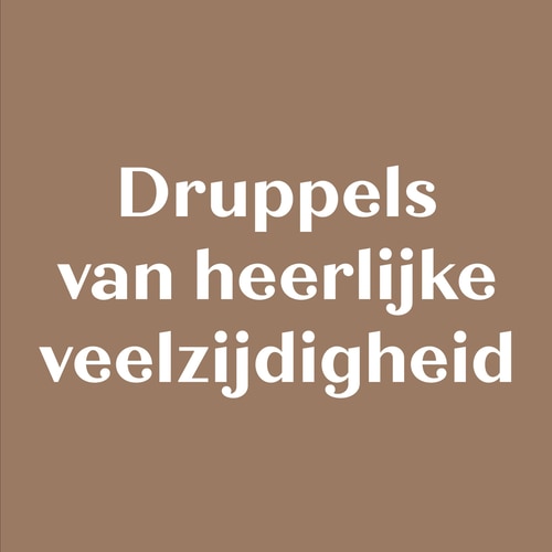 Chocoladedruppels - Geen toegevoegde suikers - Duo chocolade 150g (3)
