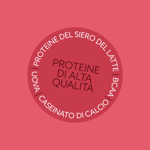 Pre-workout Protein Mug Cake - Speculoos 400g (3)