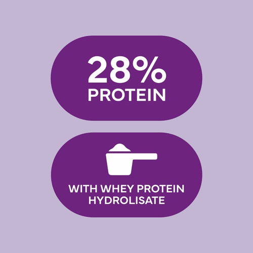 Protein Smoothie Bowl - Acai & Blueberry (6)