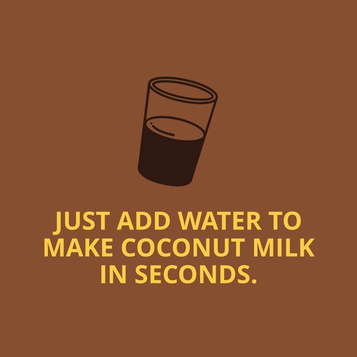 Coconut Milk Powder 300g (3)