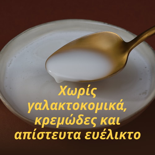Σκόνη Γάλακτος Καρύδας 300 g (10)
