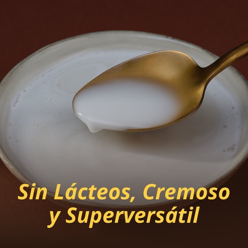Crema de Coco en Polvo 300 g (10)