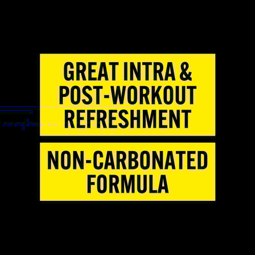 BCAA Drink 500 mL (7)