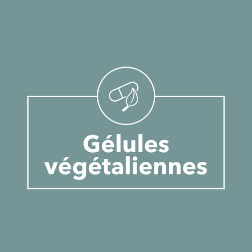 Mélatonine 1,9 mg 90 gélules (9)