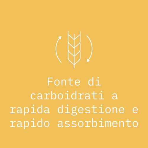 Maltodextrin 900g (4)