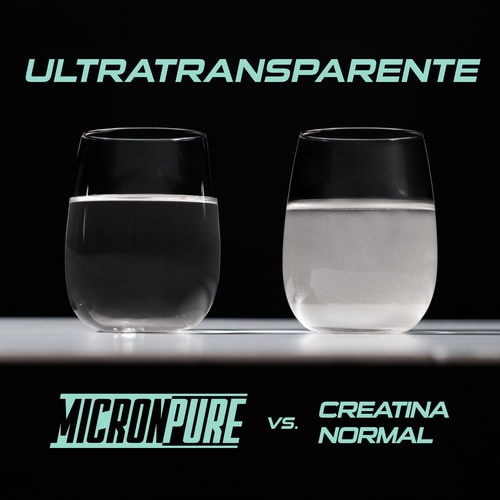 Creatina MicronPure 600 g (10)