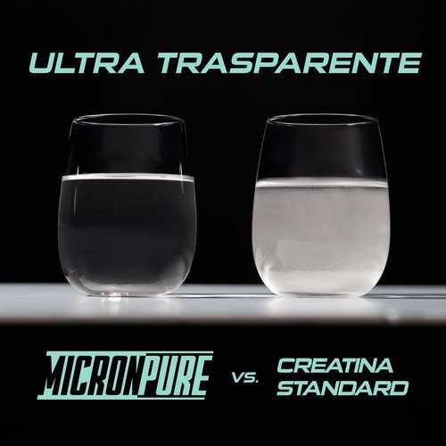 Creatina MicronPure 300 g (10)