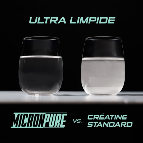 Créatine MicronPure 300 g (10)